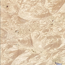 BW111 Radica