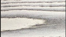 BW102 Caleidolegno