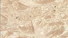 BW111 Radica