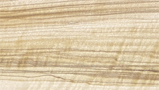 BW112 Ulivo